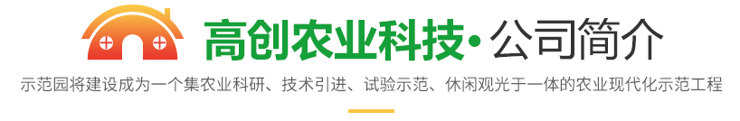 金鄉(xiāng)縣高創(chuàng)農(nóng)業(yè)科技有限公司簡(jiǎn)介